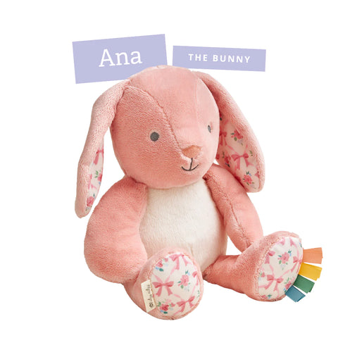 Peluche - Ana La Conejita