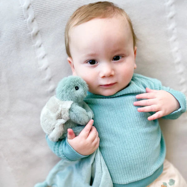 Peluche de Apego - Taylor la Tortuga