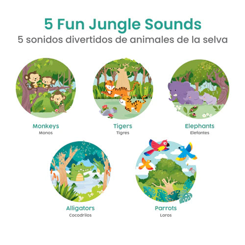 Libro - Visitando La Selva