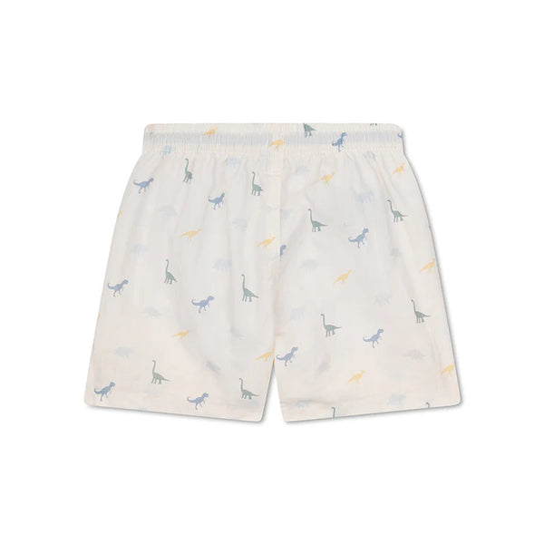 Vestido de Baño Short - Dinos