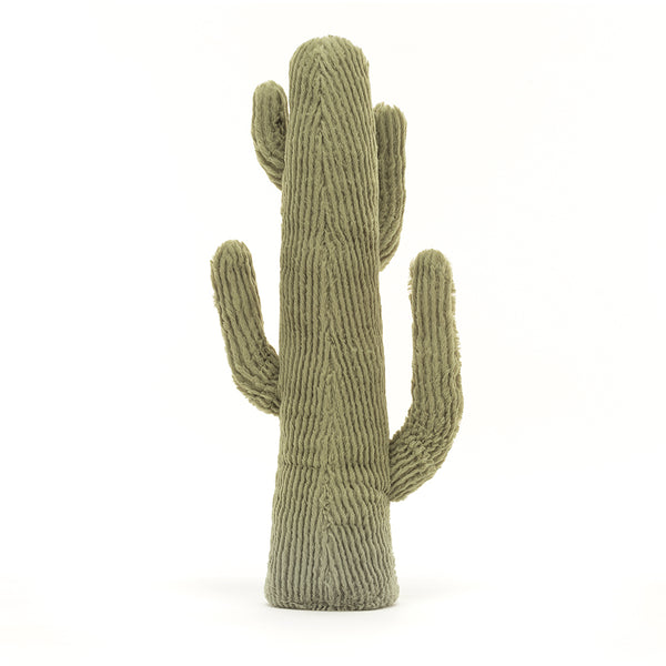 Cactus Medium