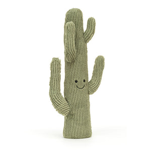 Cactus Medium