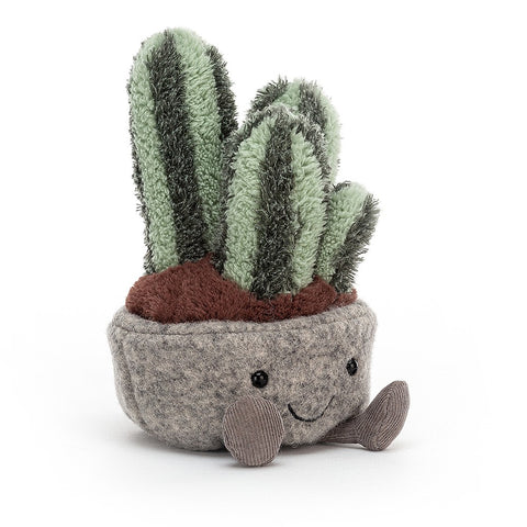 Cactus Suculenta